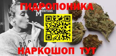 эйфоретик Берёзовский