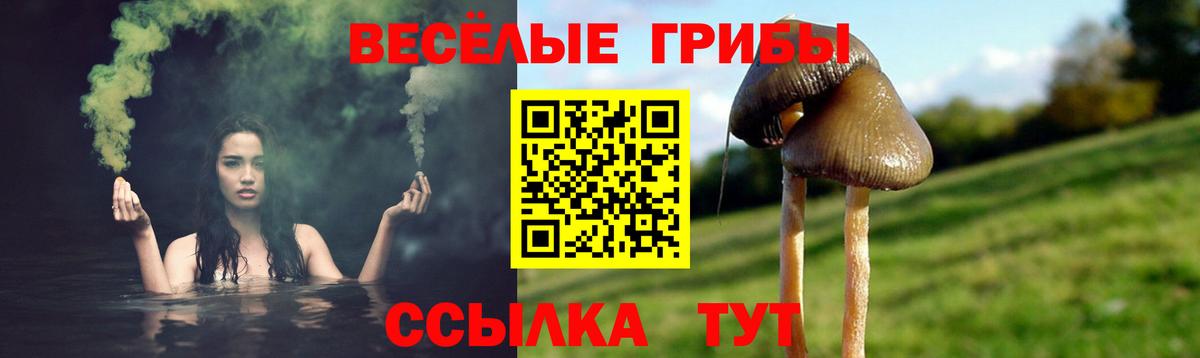 где продают   Вход с VPN  Белебей  Галлюциногенные грибы прущие грибы  Галлюциногенные грибы прущие грибы 
